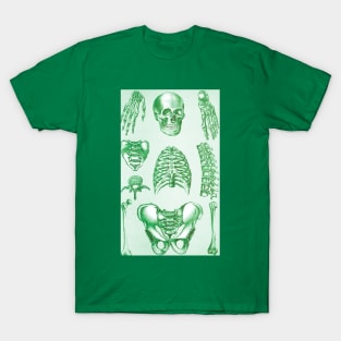 Poor Man's X-Ray Green Skeleton T-Shirt